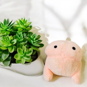 Peluche Willy coccoloso, scelta di taglie, regalo di San Valentino per festa di addio al nubilato