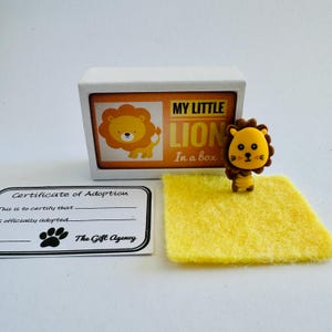 Mi pequeño león en una caja de cerillas, regalo novedoso y divertido
