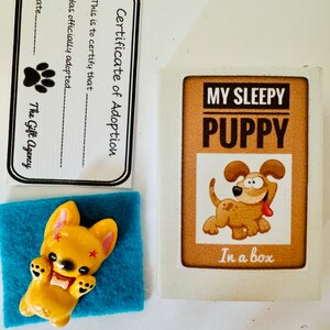 Il mio cucciolo assonnato con certificato di adozione in Matchbox