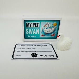 Il mio cigno domestico in una scatola di fiammiferi Mini regalo di novità sciocco