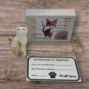 How to Pet a Cat in a Box Matchbox Mini Novelty Silly Gift