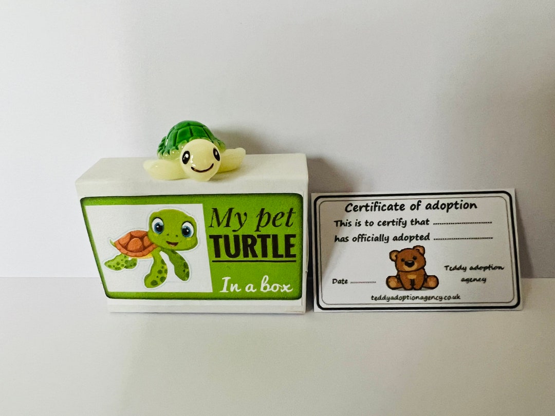 My Pet Turtle in a Box Mini Happy Turtle With an Adoption Certificate