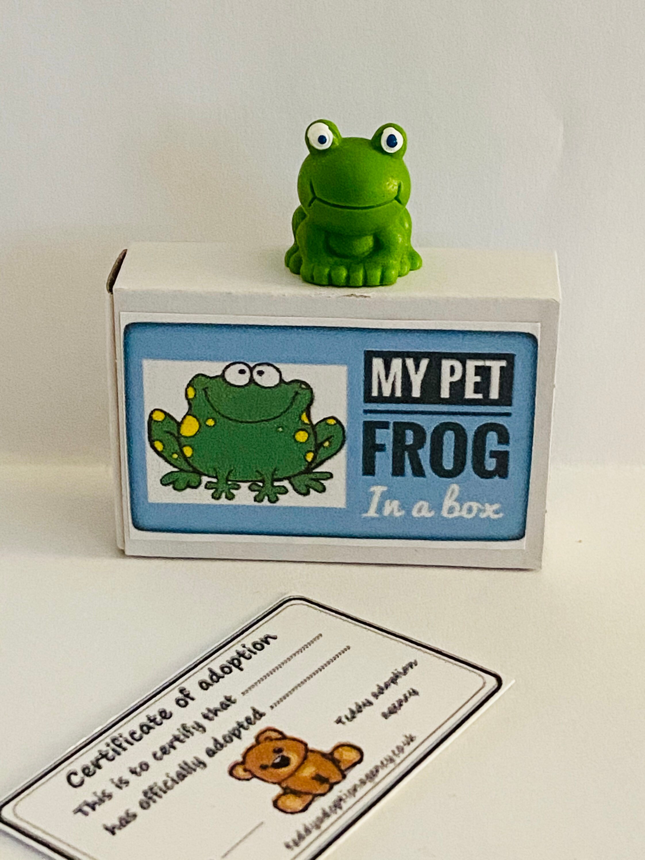 My Pet Frog in a Box Matchbox Mini Novelty Silly Gift Etsy