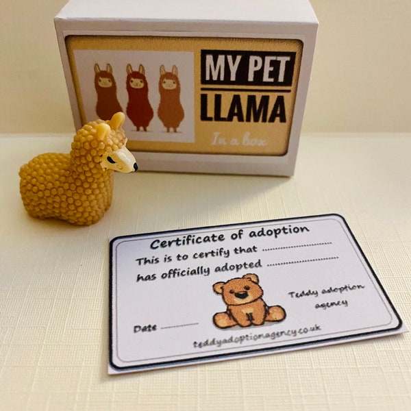 Llama Gifts - 60+ Gift Ideas for 2023
