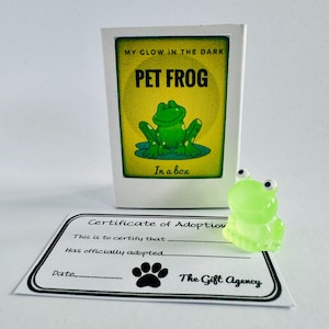 My Pet phosphorescente grenouille dans une boîte d'allumettes Mini cadeau fantaisie fantaisie