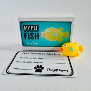 Mini boîte d'allumettes poisson dans une boîte Mon animal de compagnie - Mini cadeau idiot fantaisie