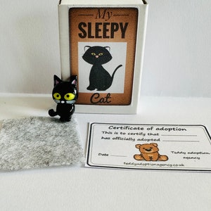 My Sleepy Black Cat in a Box Matchbox Mini  Novelty Silly Gift