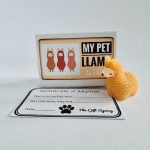 My Pet Llama in a Box Matchbox Mini Fawn Novelty Silly Gift