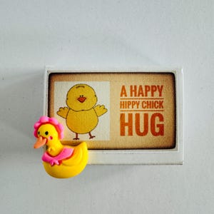 Um abraço de pintinho hippie feliz em uma caixa Mini presente de frango
