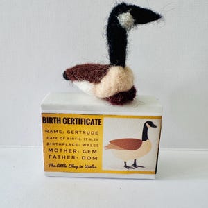 Może przedstawiać: Ręcznie wykonana filcowa figurka gęsi z czarną głową i szyją, brązowym korpusem i kremowymi akcentami. Znajduje się na małym pudełku z napisem "AKTA URODZENIA" i imieniem "Gertrude".