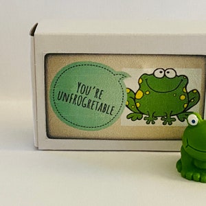 Mini cadeau d'amour pour la Saint-Valentin dans une boîte, une mini grenouille, un crapaud
