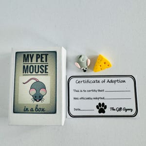 My Pet Mouse in a Box Matchbox Mini-nieuwigheid dom cadeau