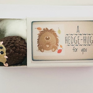 Un abrazo de erizo para ti en una caja de regalo Mini erizo espinoso