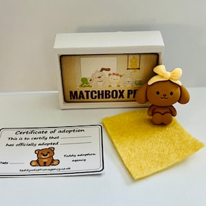 Mini-cadeau Matchbox Pets pour chien dans une boîte