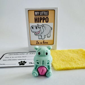 My Little Hippo in a Box Matchbox Mini Novidade Presente Bobo