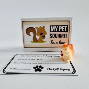 Mon animal de compagnie, un écureuil dans une boîte d'allumettes, un mini cadeau idiot fantaisie