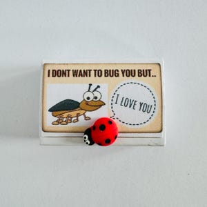 Non voglio infastidirti ma ti amo Mini regalo coccinella