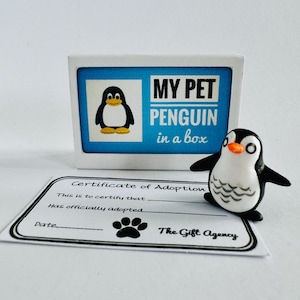 My Pet Penguin in a Box Matchbox Mini Novelty Silly Gift
