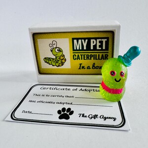 Mon animal de compagnie chenille dans une boîte avec un certificat d'adoption Mini cadeau fantaisie