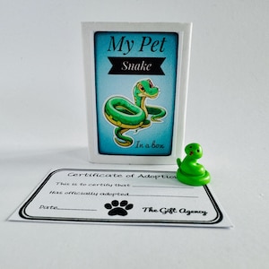Minha cobra de estimação em uma caixa com um certificado de adoção Mini presente de novidade