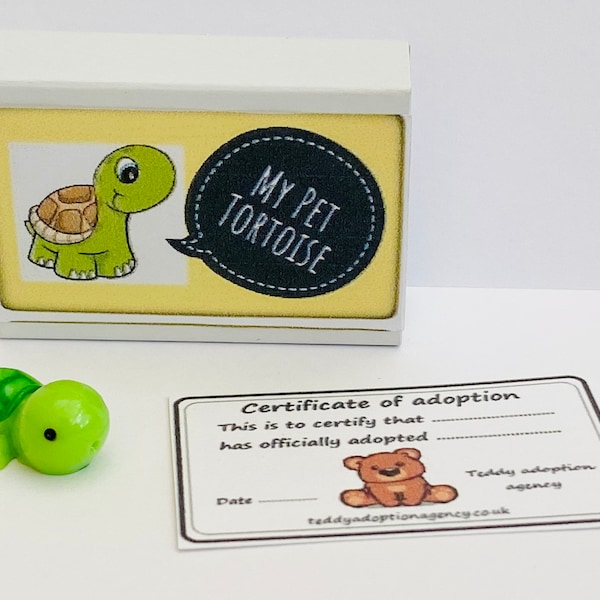 Tortoise Gifts 60+ Gift Ideas for 2023