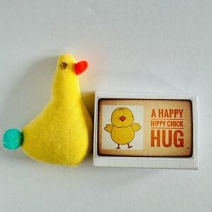Um abraço feliz de garota hippie em uma caixa Mini presente fofinho de frango