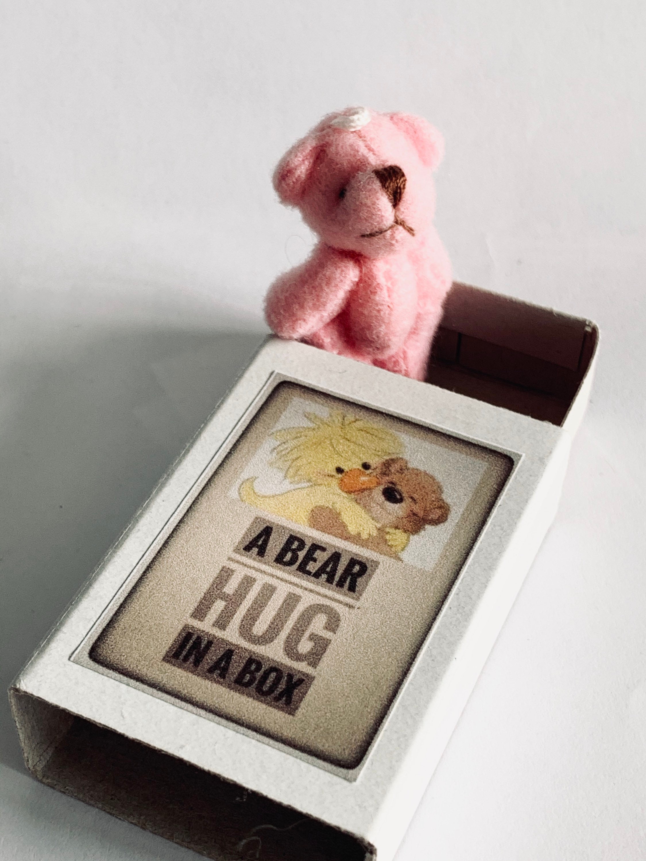 A Bear Hug in a Box Mini Traditional Style Pink Teddy Gift Etsy Singapore