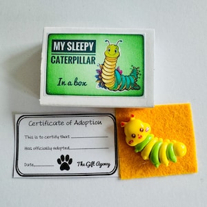 Ma chenille endormie dans une boîte avec un certificat d'adoption Mini cadeau fantaisie