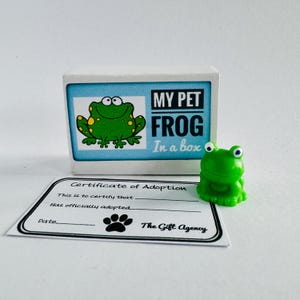 Mini-cadeau fantaisie fantaisie My Pet Frog dans une boîte d'allumettes