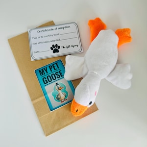 Il mio animale domestico Goose - Uccello morbido e coccoloso con certificato di adozione