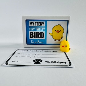 Il mio piccolo uccellino Titti in una scatola di fiammiferi Mini regalo sciocco e originale