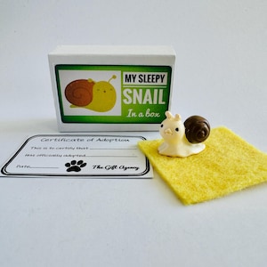 Mini Pets - My Sleepy Snail in a Box met adoptiecertificaat