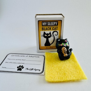 My Sleepy Black Cat in a Box Matchbox Mini  Novelty Silly Gift