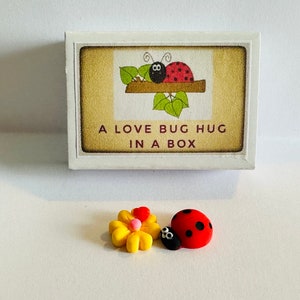 Un abbraccio di coccinella in una scatola regalo Mini Coccinella