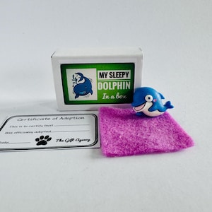 Mon animal de compagnie dauphin dans une boîte d'allumettes Mini cadeau idiot fantaisie