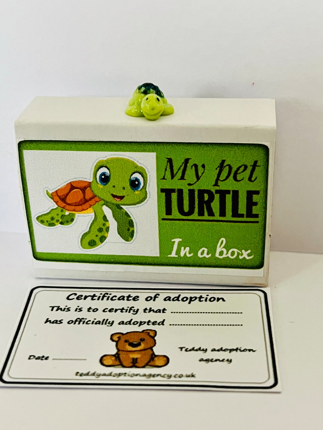 My Pet Turtle in a Box Tiny Happy Turtle With an Adoption Etsy