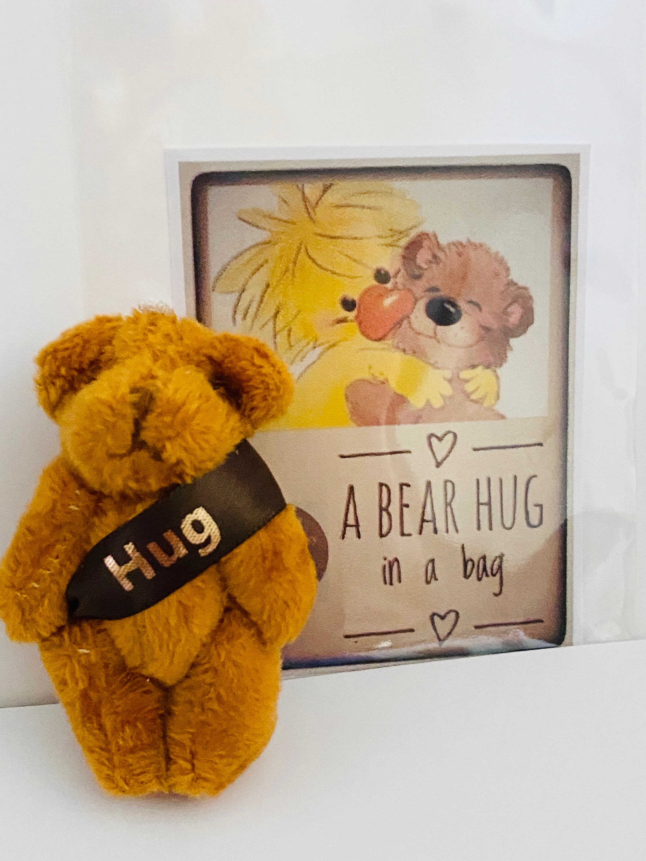 A Plush Brown Bear Hug in a Bag Small Teddy Gift - Etsy