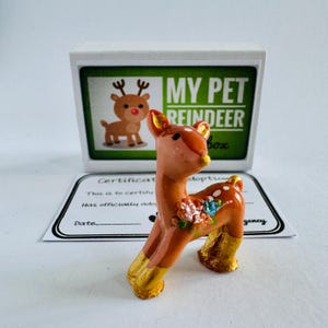 Alternative aux cartes de voeux pour mon animal de compagnie, le renne dans une boîte