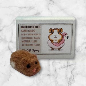 Hamster met doos voor geboorteakte, handgemaakt mini-cadeautje van wollen naaldvilt luciferdoosje