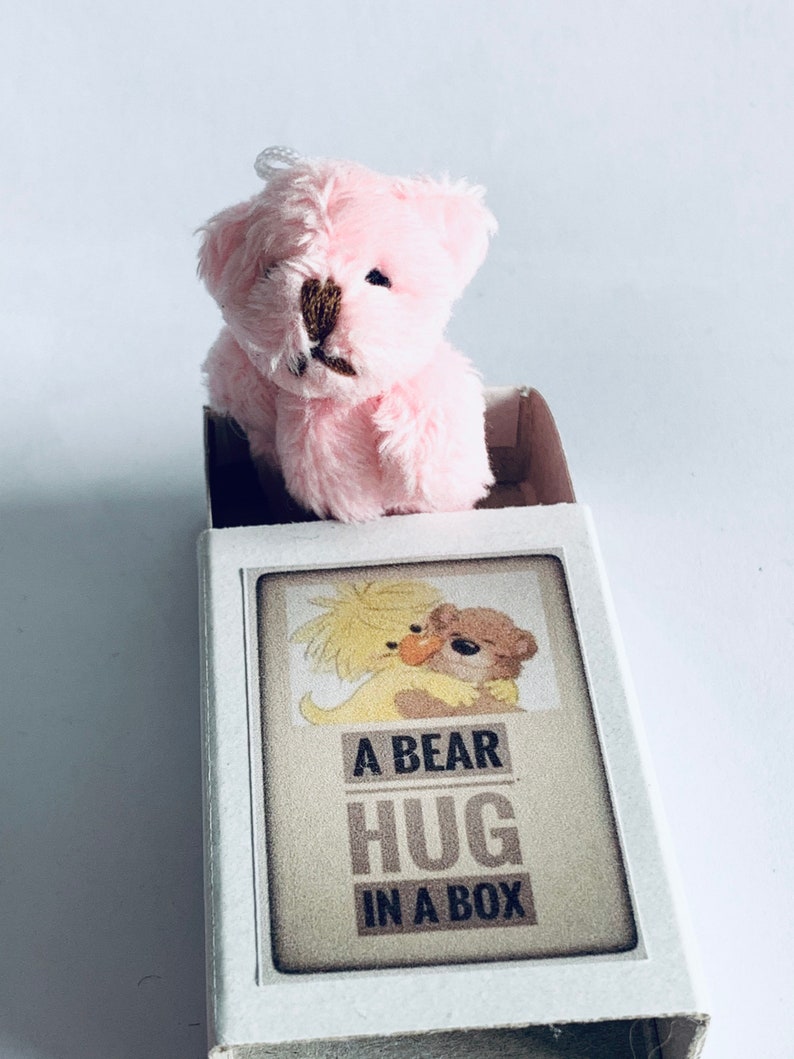 A Bear Hug in a Box Mini Plush Pink Teddy Gift
