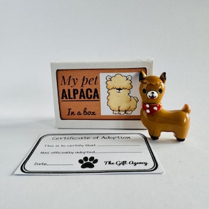 Mój pupil Alpaka w pudełku Matchbox Mini Nowość Zabawny prezent