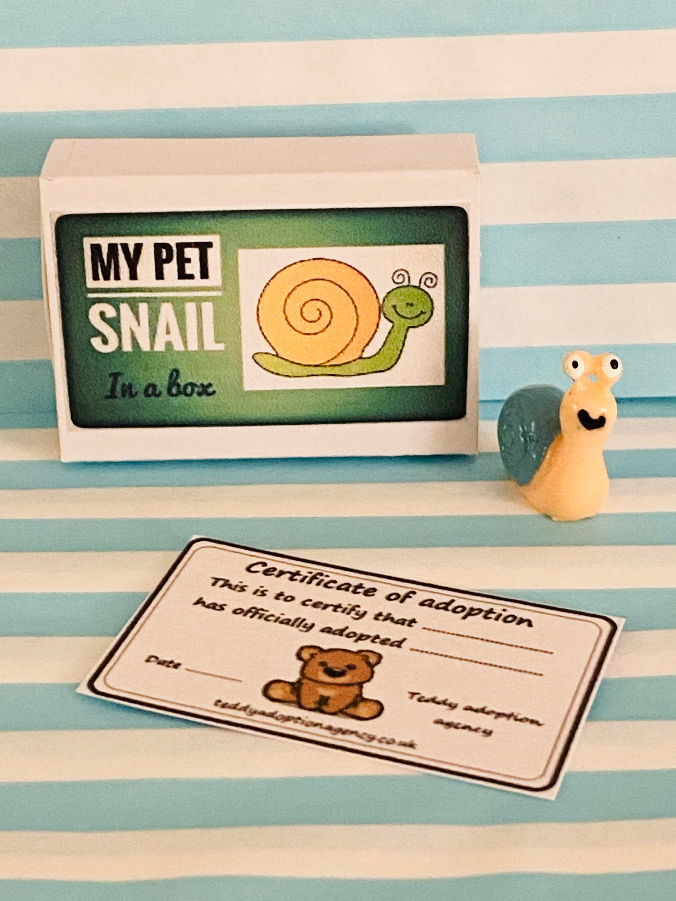 My Pet Snail a Box Mini Resin Snail With an Adoption Etsy