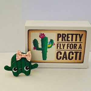 Jolie mouche pour cactus - Mini cactus dans une boîte d'allumettes - Alternative aux cartes de voeux