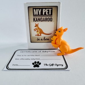Mon animal de compagnie kangourou dans une boîte d'allumettes jaune Mini cadeau fantaisie fantaisie