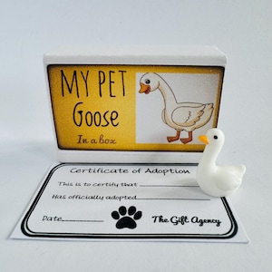 Mon animal de compagnie oie dans une boîte d'allumettes Mini cadeau idiot fantaisie