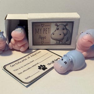 Meu hipopótamo de estimação em uma caixa com certificado de adoção - Escolha de poses - Matchbox Mini Novelty Silly Gift