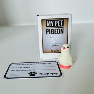 Il mio piccione domestico in una scatola di fiammiferi Mini regalo sciocco e originale