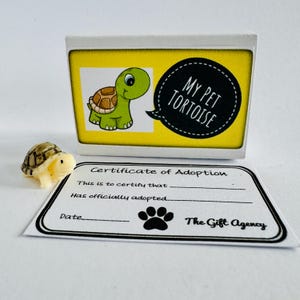 Meine Haustier-Schildkröte in der Box Mini-Schildkröte mit einem Adoptions-Zertifikat Mini-Neuheits-Geschenk