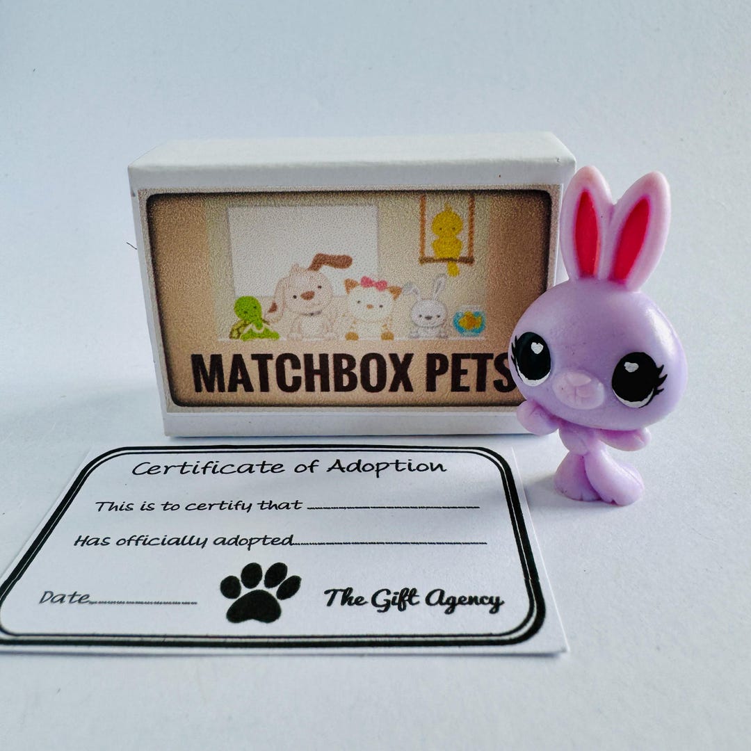 Matchbox Pets Mini Lilac Rabbit in a Box Mini Gift - Etsy