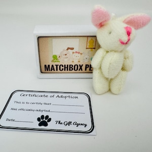 Matchbox Pets - Mini coniglio bianco con certificato di adozione in scatola di fiammiferi